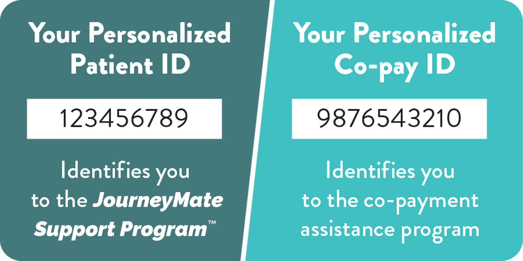 Example of an Out-of-Pocket Assistance Program co-pay and patient ID card